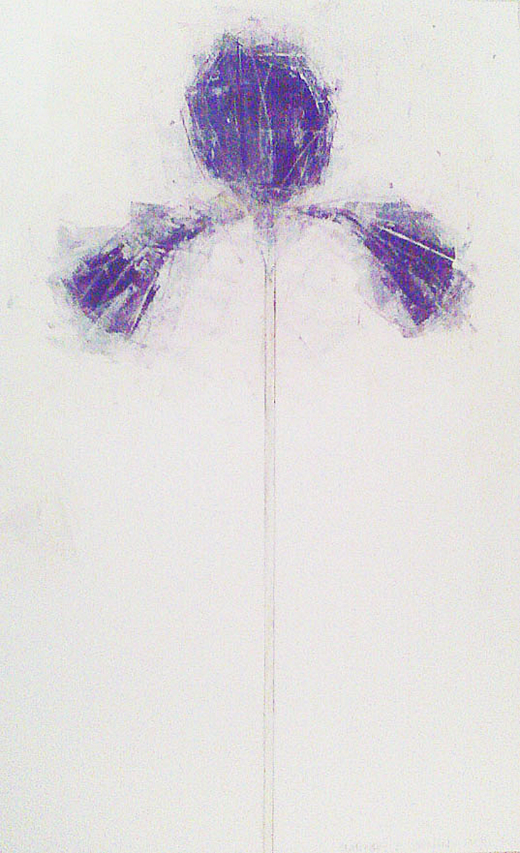 IRIS_2011_CATHERINELJOHNSON_WP